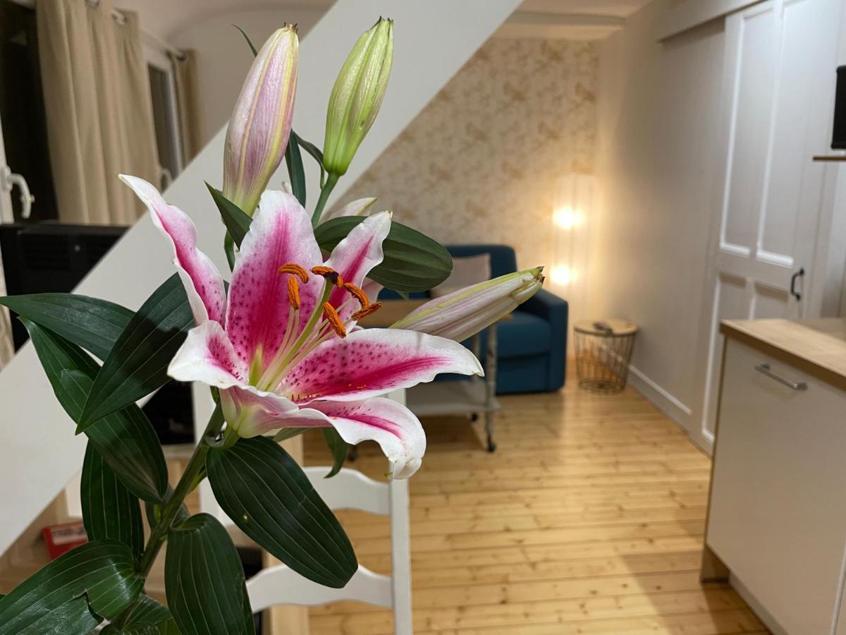 Houlgate Appartement La Briarde エクステリア 写真